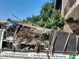 Best Yard Waste Removal  in Martsville, IN